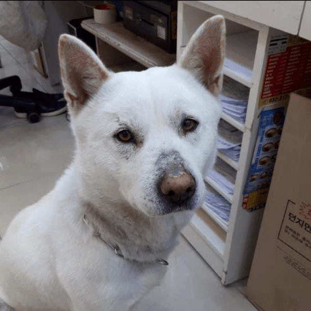 Gongju
