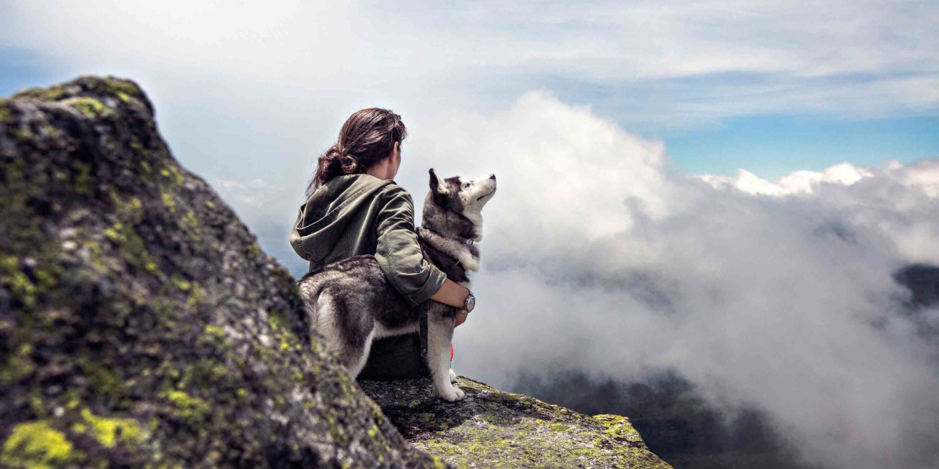 Dog and person on top of mountain after adoption