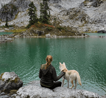 Bomi, a Jindo rescue dog and owner looking over a lake