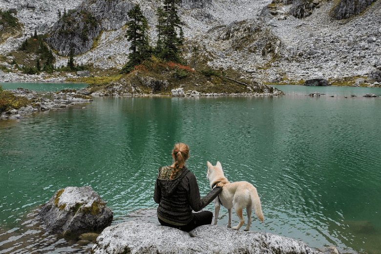 Bomi, a Jindo rescue dog and owner looking over a lake