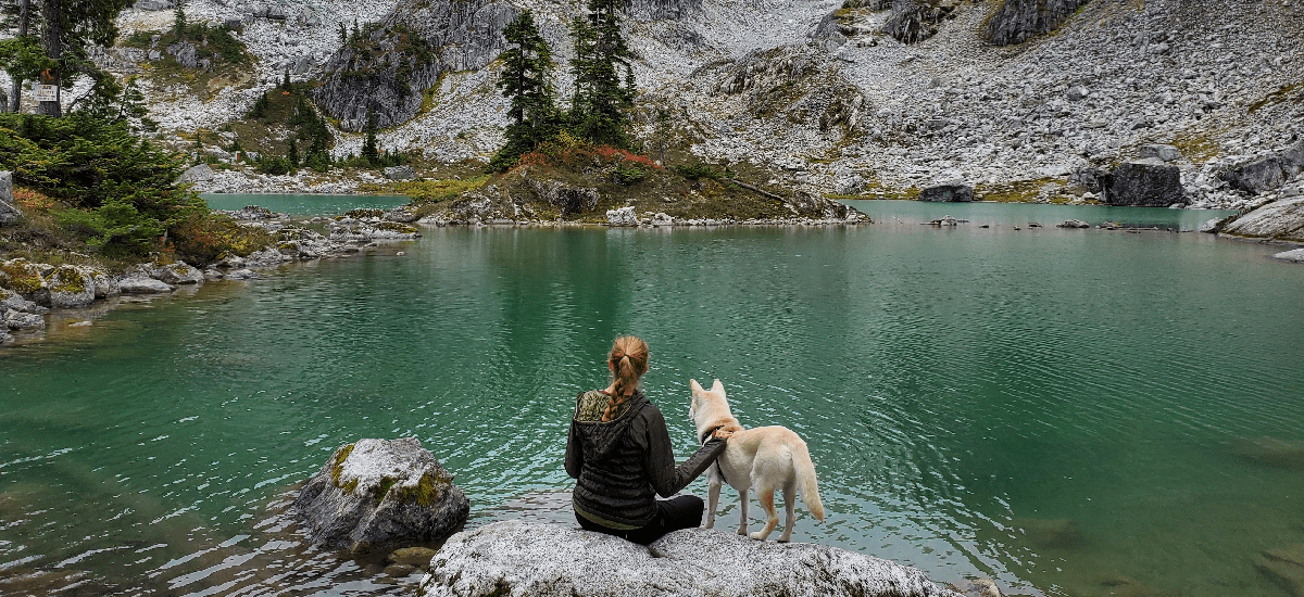 Bomi, a Jindo rescue dog and owner looking over a lake