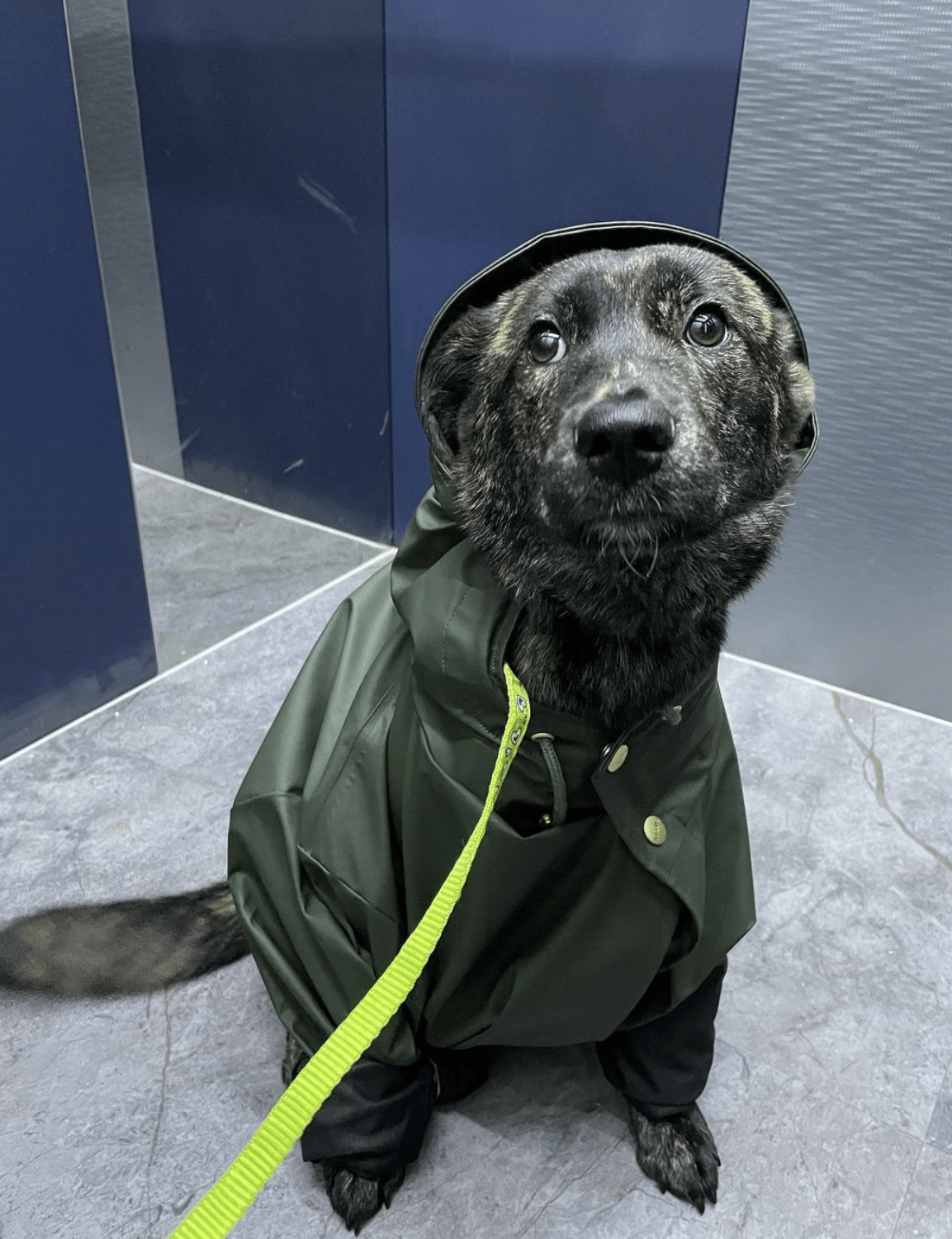 Freya wearing her rain jacket