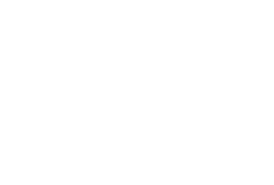 Adopt Korean Rescue